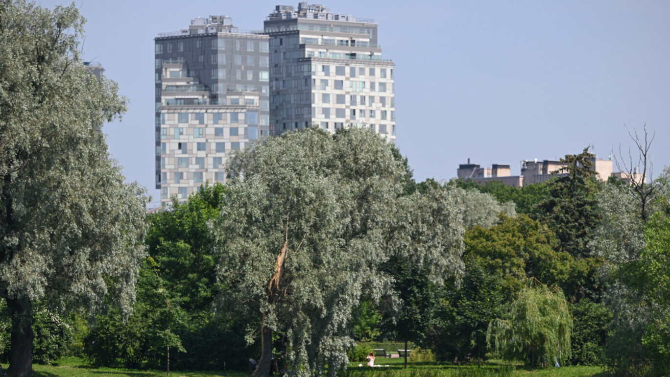 Крестовский остров