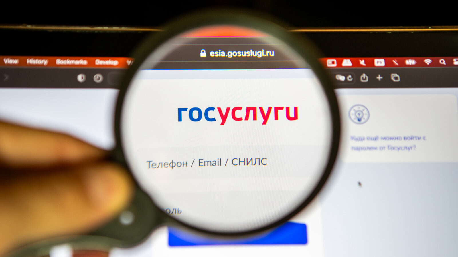 госуслуги