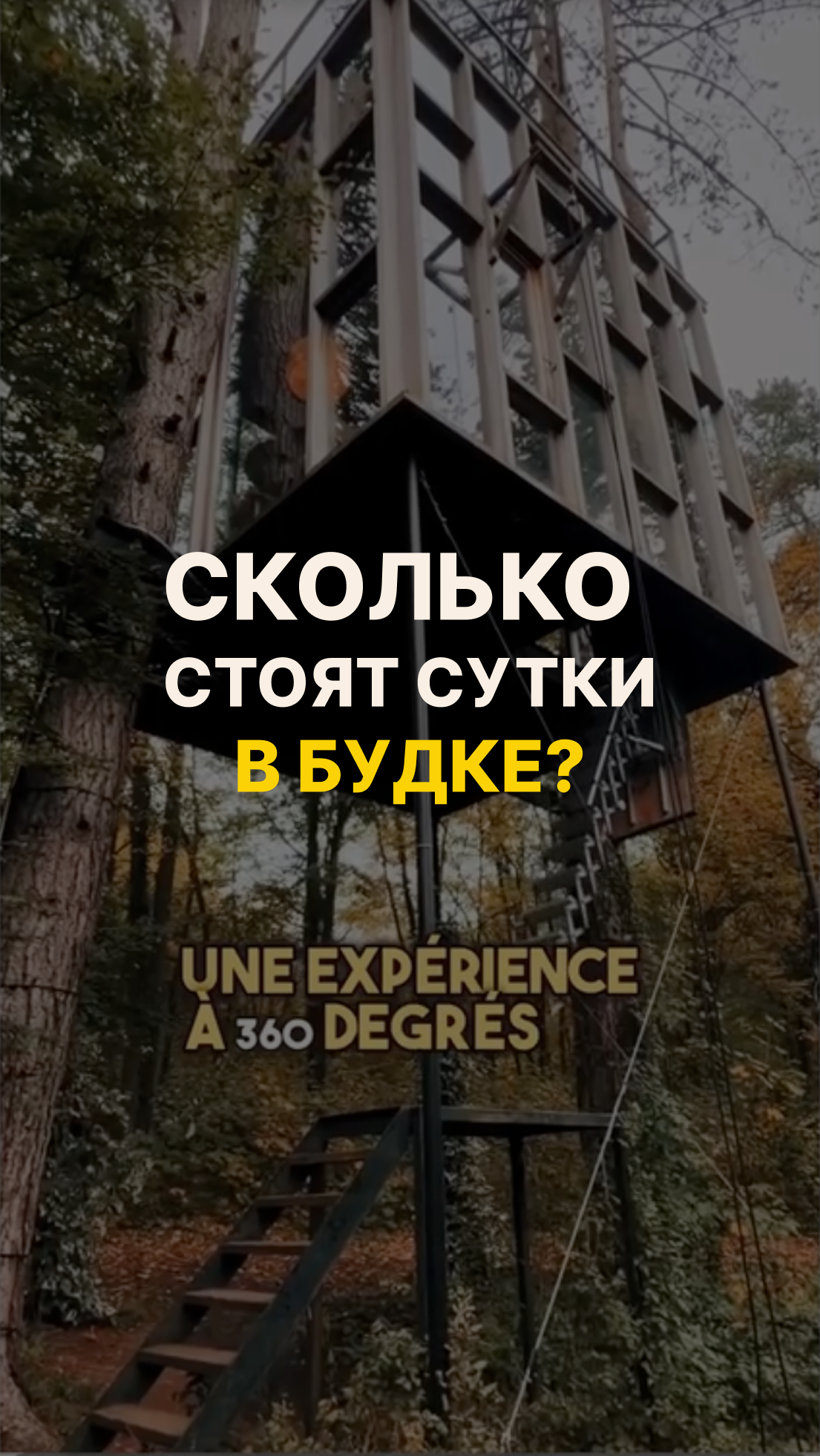 Необычный куб на дереве