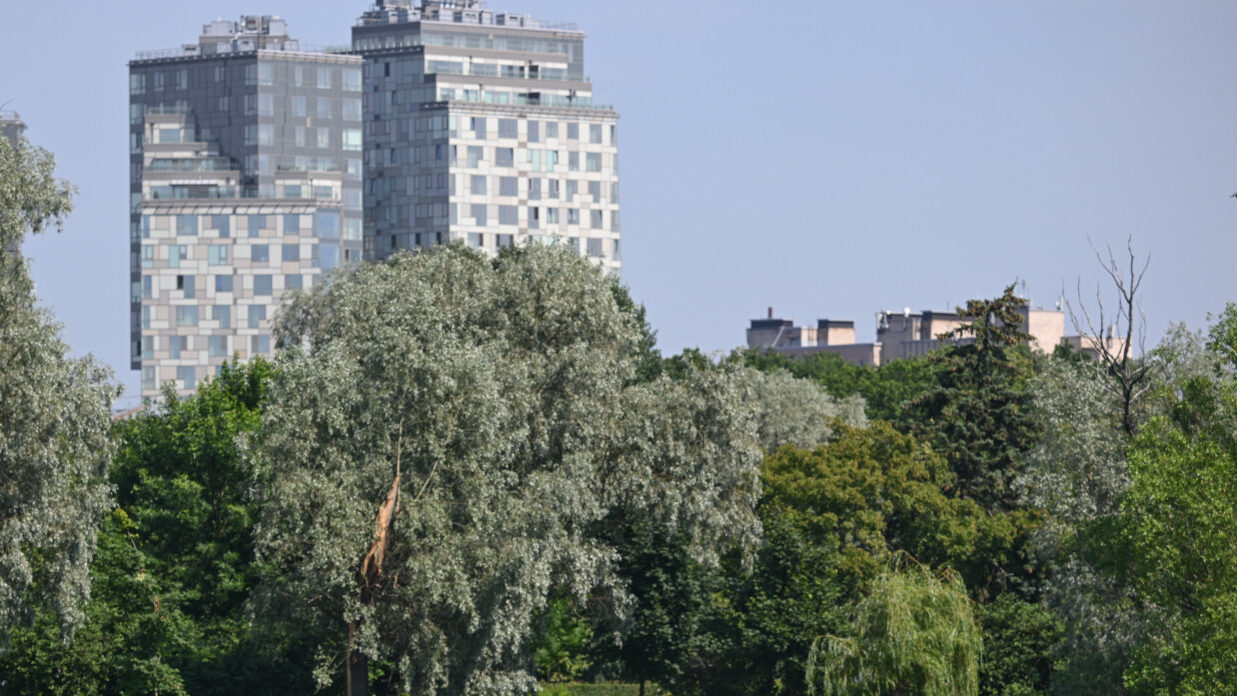 Крестовский остров